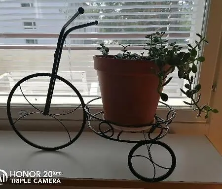 Siisti Valoisa Kolmio Apartment