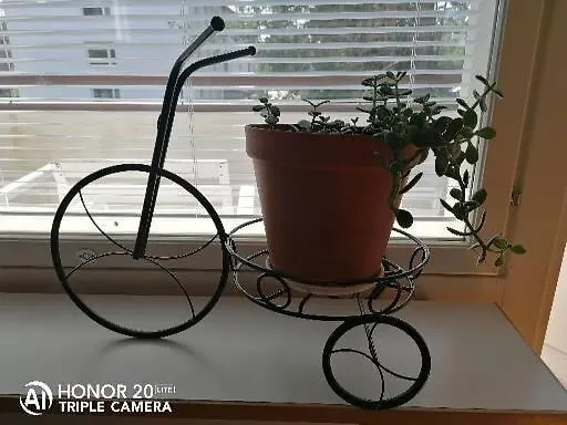 Siisti Valoisa Kolmio 公寓